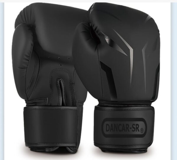 Guantes Boxeo Pro - Imagen 2